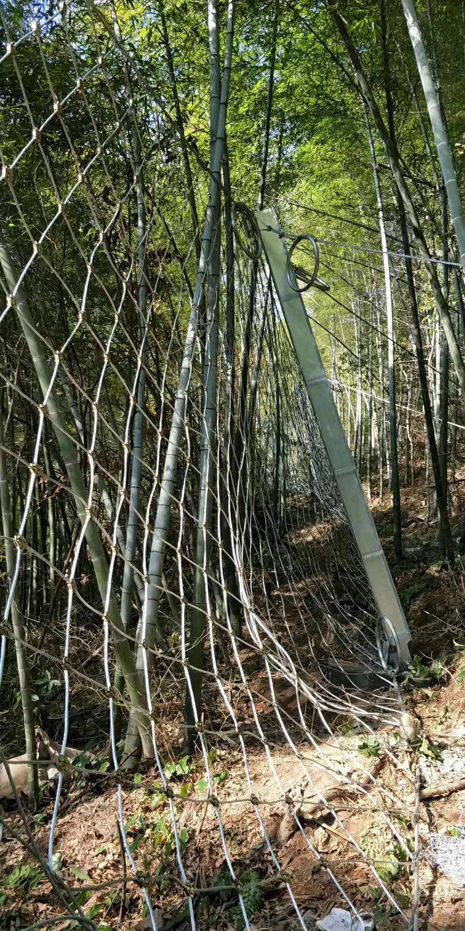 被動防護(hù)網(wǎng)
